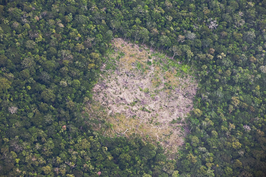 Segundo a Imazon, desmatamento na Amazônia foi o maior em 10 anos