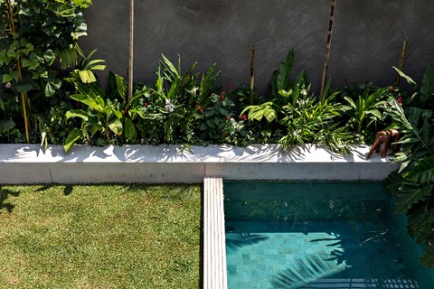 No Projeto do escritório CR2 Arquitetura , a piscina recebeu borda de plantas. Paisagismo de Gabi Ornaghi
