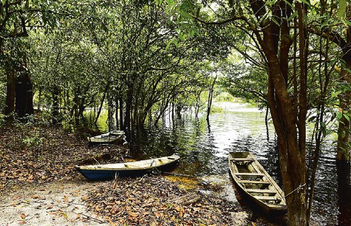 Em canoas, os turistas realizam passeios pelos igarapés.