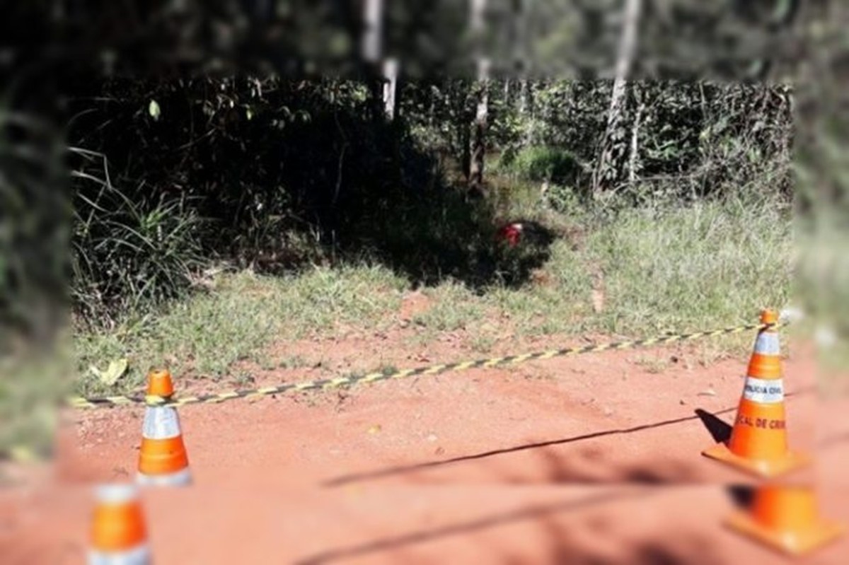 Corpo é Encontrado Em Matagal Em Estrada Vicinal De Nova Mutum Mt Mato Grosso G1 8487