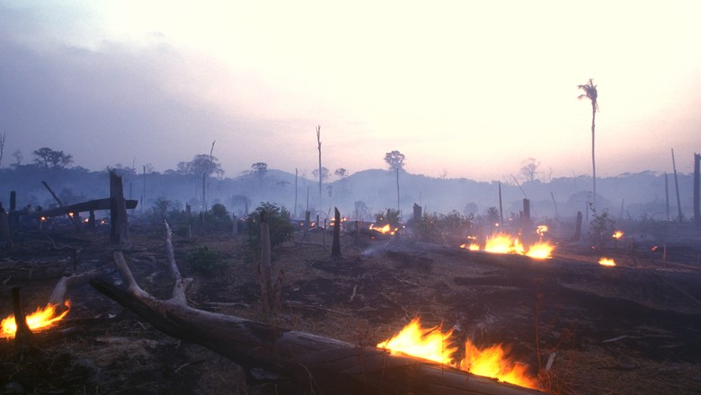 fogo-amazonia-incendio-floresta (Foto: Getty Images )