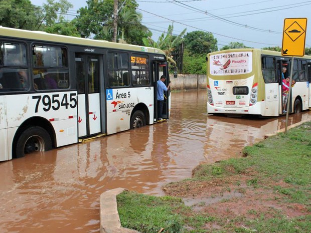 Ônibus que apresentaram pane após tentar passar por inundação na rua 10B, de Vicente Pires, no Distrito Federal (Foto: Nathália Moreira/Arquivo Pessoal)