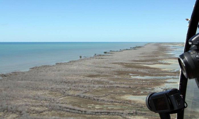 Manguezal com 7.400 hectares morreu de "sede" no Golfo de Carpentária, na AustráliaNORMAN DUKE