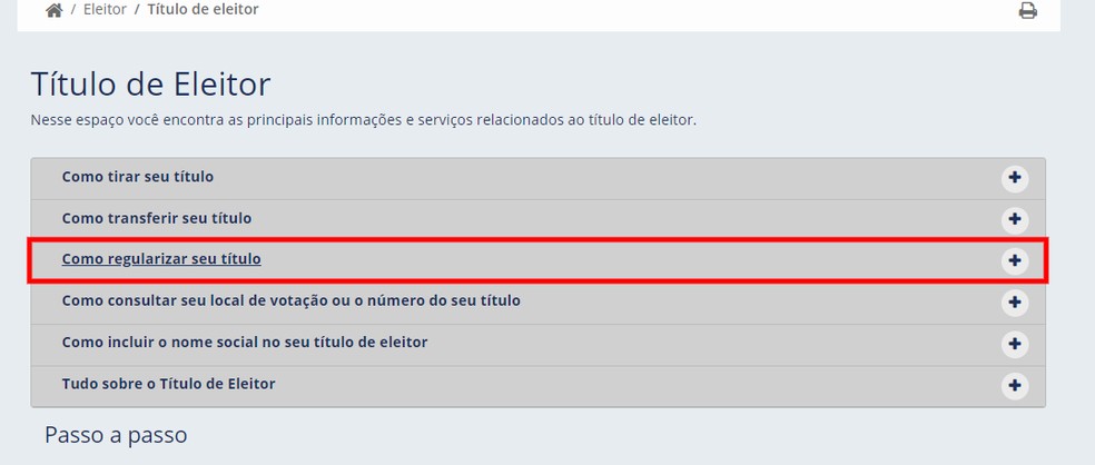 Situação eleitoral: consulta é feita de forma rápida no site do TSE, por meio da opção "Como regularizar seu título" — Foto: Reprodução/Rodrigo Fernandes