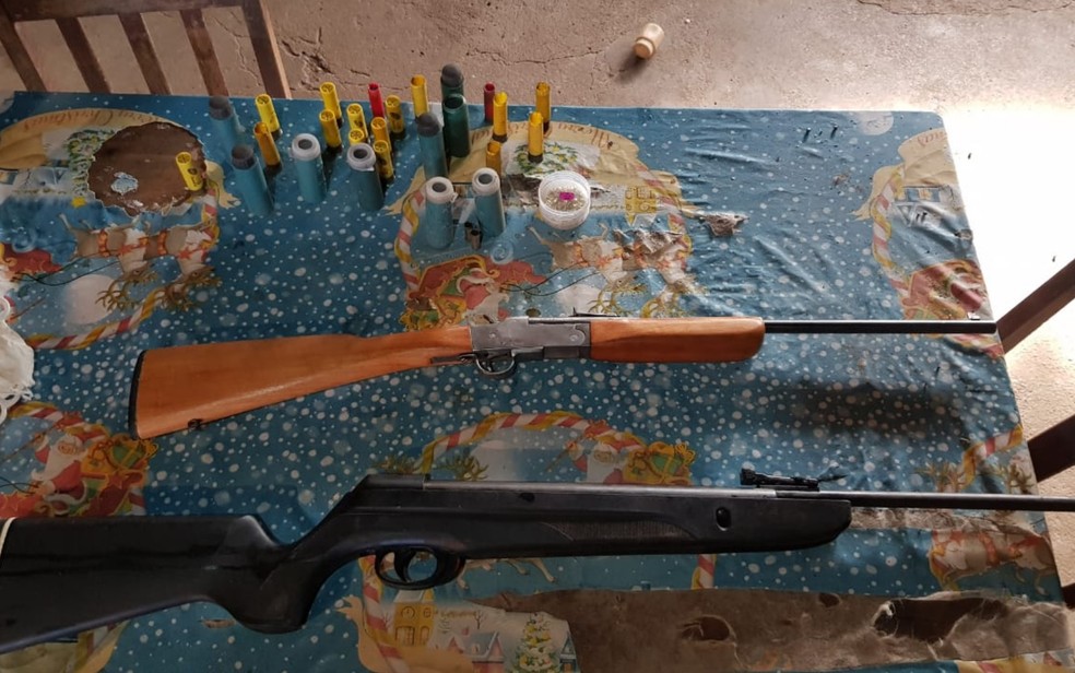 Polícia apreende armas na casa de fazendeiro suspeito de estuprar filhos dos funcionários de fazenda em Piranhas, Goiás — Foto: Divulgação/Polícia Civil
