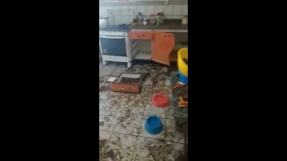 Chão da casa onde idoso era mantido, em Maceió, era completamente sujo e móveis estavam em condições precárias — Foto: Reprodução/Vídeo