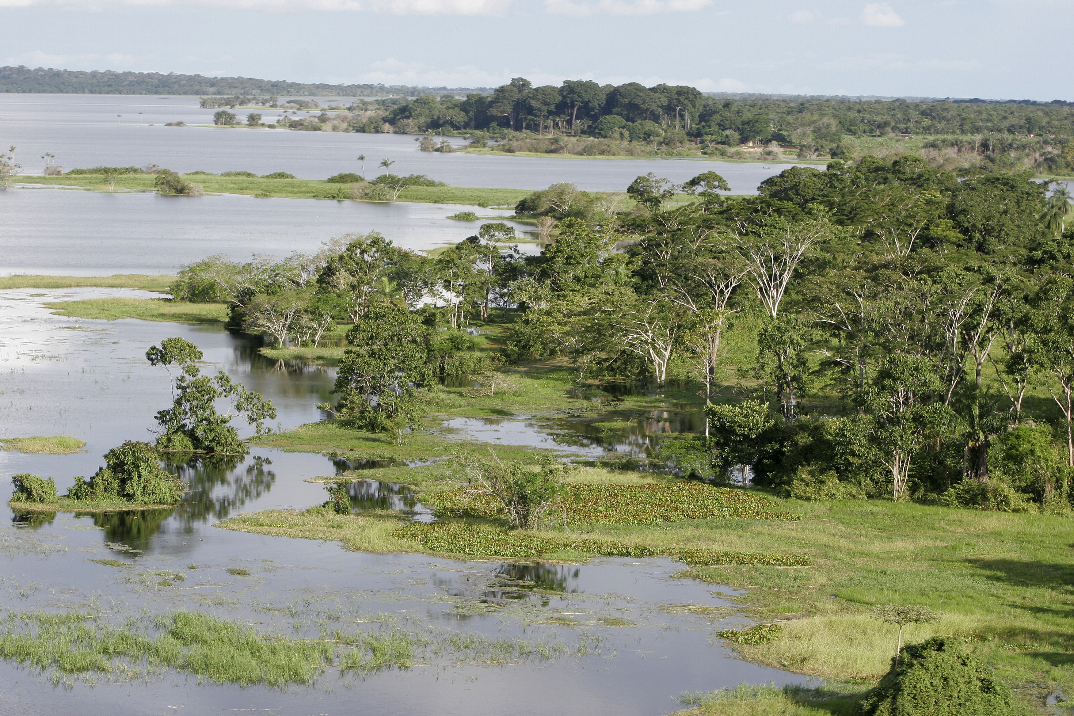 AMAZON RAIN FOREST, BELTERRA, PARA STATE, BRAZIL - 2020/05/14: Tapajos river, flooded forest on riverside. (Photo by Ricardo Beliel/Brazil Photos/LightRocket via Getty Images) (Foto: Brazil Photos/LightRocket via Ge)