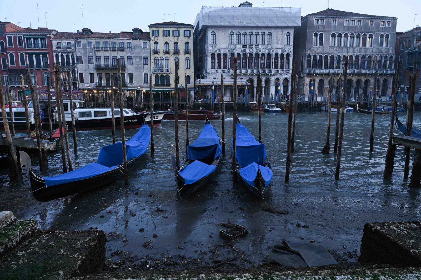 Tradicionais gôndolas de Veneza, na Itália, ficam encalhadas por falta de chuva — Foto: Marco Sabadin / AFP