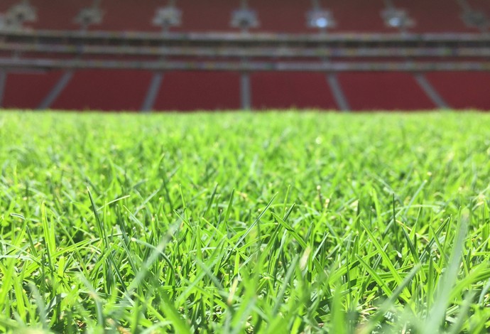 Gramado do Mané Garrincha está pronto para receber partidas