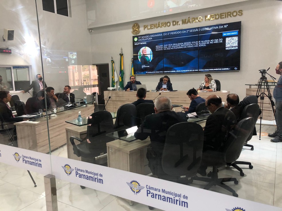 Diogo Rodrigues participou de maneira remota da sessão desta terça-feira (2). — Foto: Vini Marinho/Inter TV Cabugi