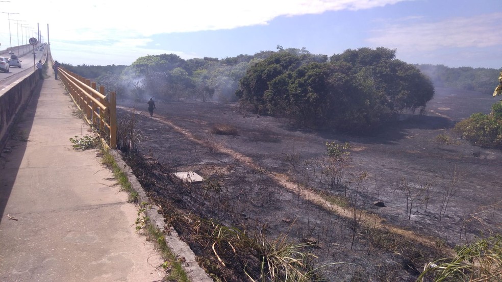 Corpo de Bombeiros trabalha para conter incêndio em mangue próximo a ponte Newton Navarro, em Natal — Foto: Geraldo Jerônimo/Inter TV Cabugi
