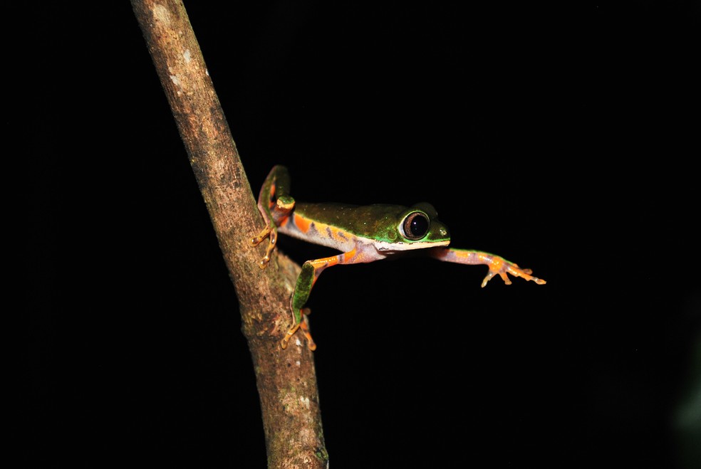 Conservar o meio ambiente e manter uma mente aberta para o desenvolvimento s&atilde;o as prioridades da bi&oacute;loga Tarcilla Valtuille. &mdash; Foto: Tarcilla Valtuille/Arquivo Pessoal