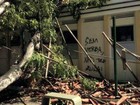 Árvore cai e deixa três feridos em campus da UFC em Fortaleza 