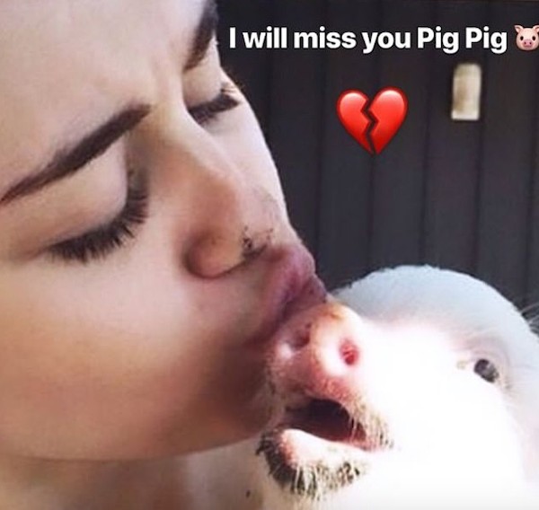 Um post de Miley Cyrus em homenagem à porquinha de estimação dela (Foto: Instagram)
