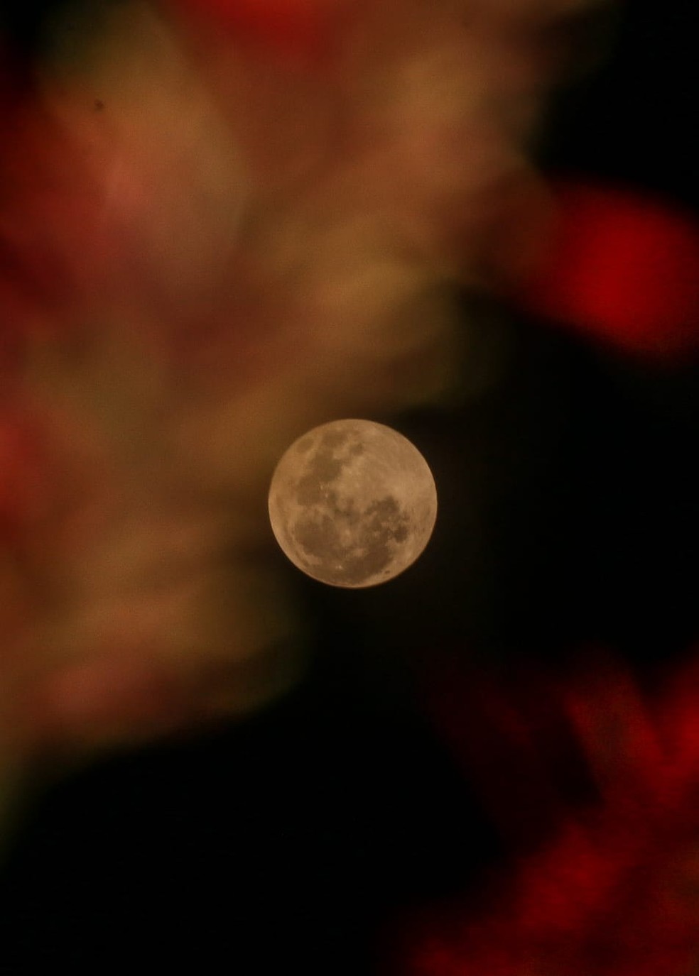 Eclipse lunar visto no Acre — Foto: Juan Diaz/Arquivo pessoal