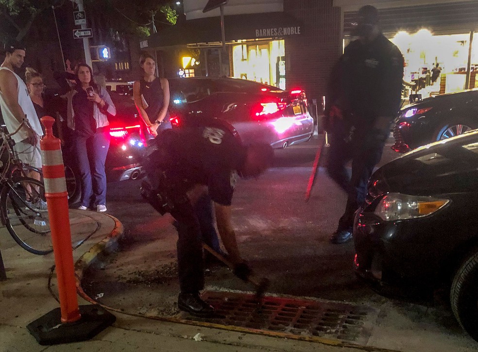 Policiais fizeram o resgate dos filhotes — Foto: Lynn Harris via AP