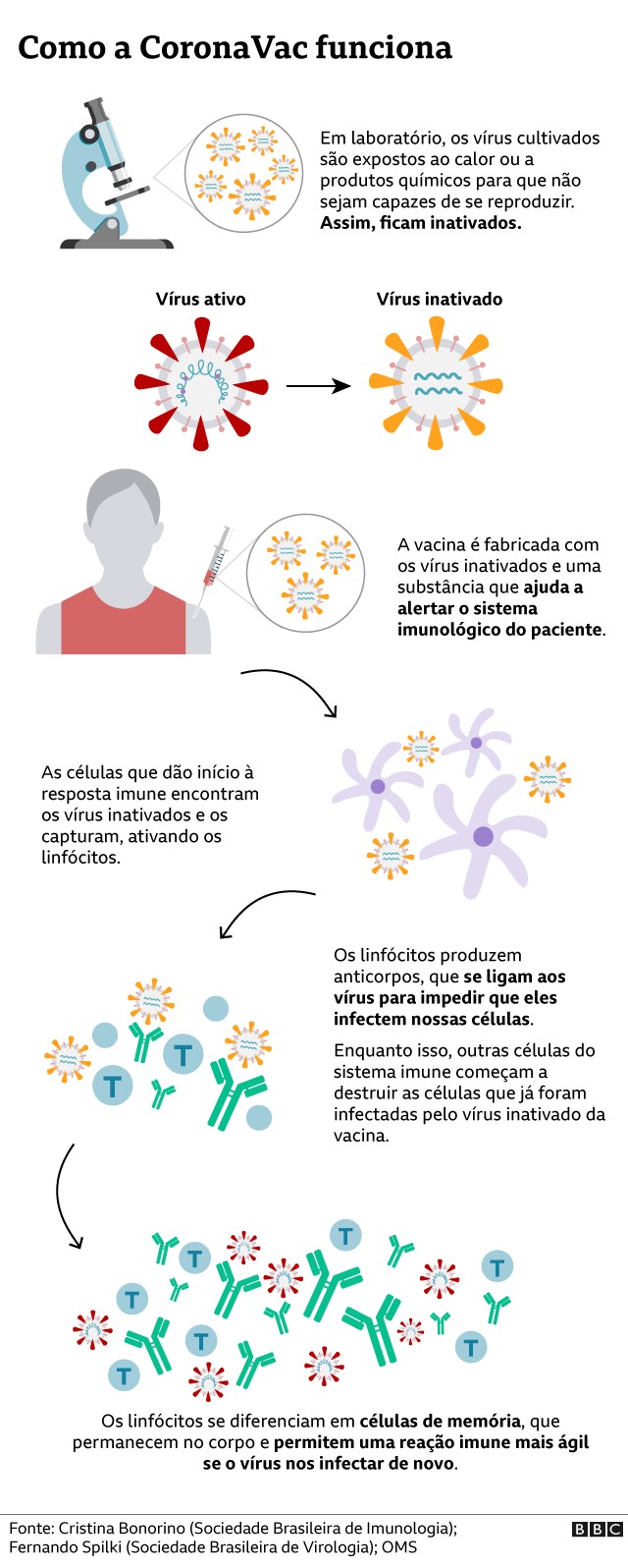 A eficácia da CoronaVac e das demais vacinas explicada em 4 gráficos (Foto: via BBC News)