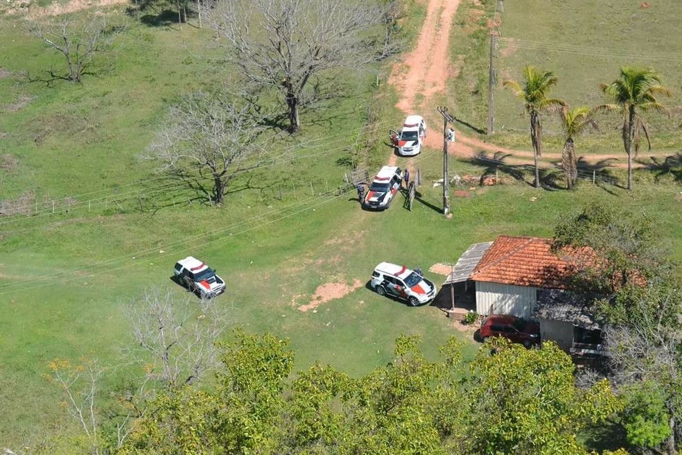 Droga foi encontrada em um sítio em Presidente Prudente (Foto: Divulgação/Polícia Militar)