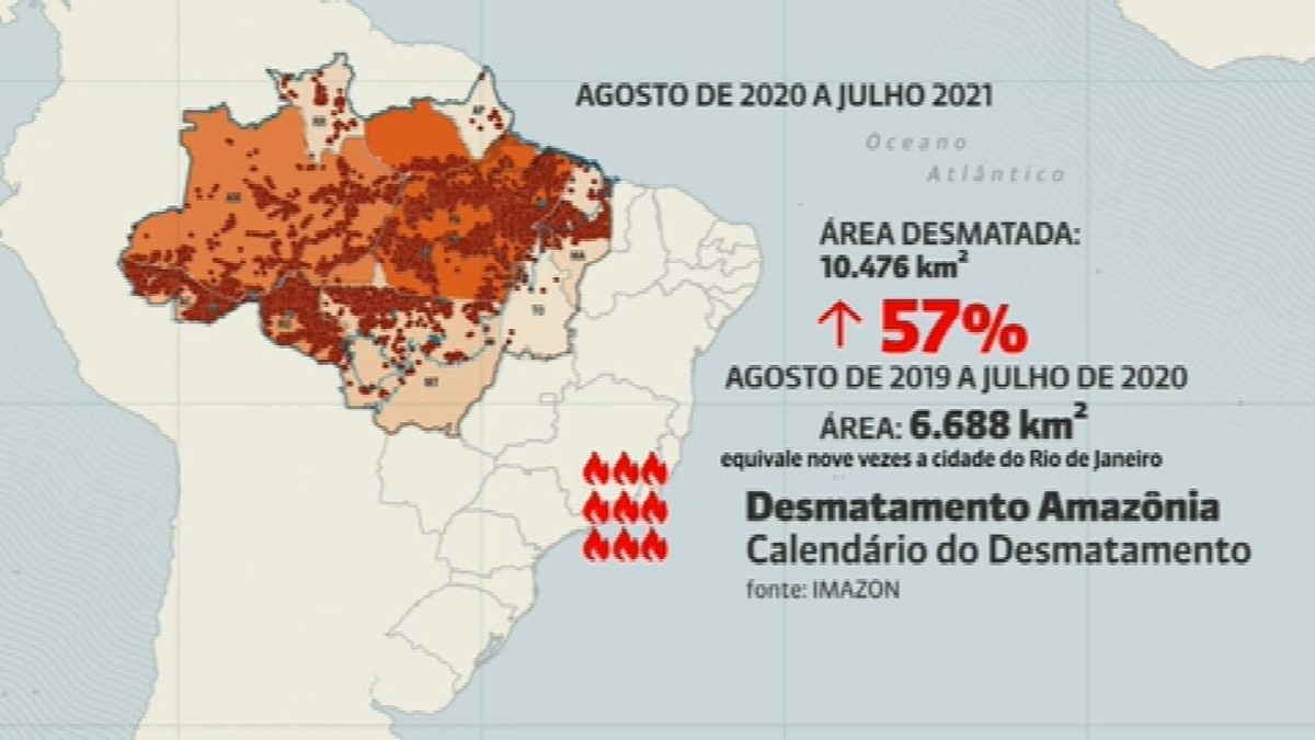 Amazônia: especialistas pedem que governo casse registro de lotes com desmatamento ilegal thumbnail