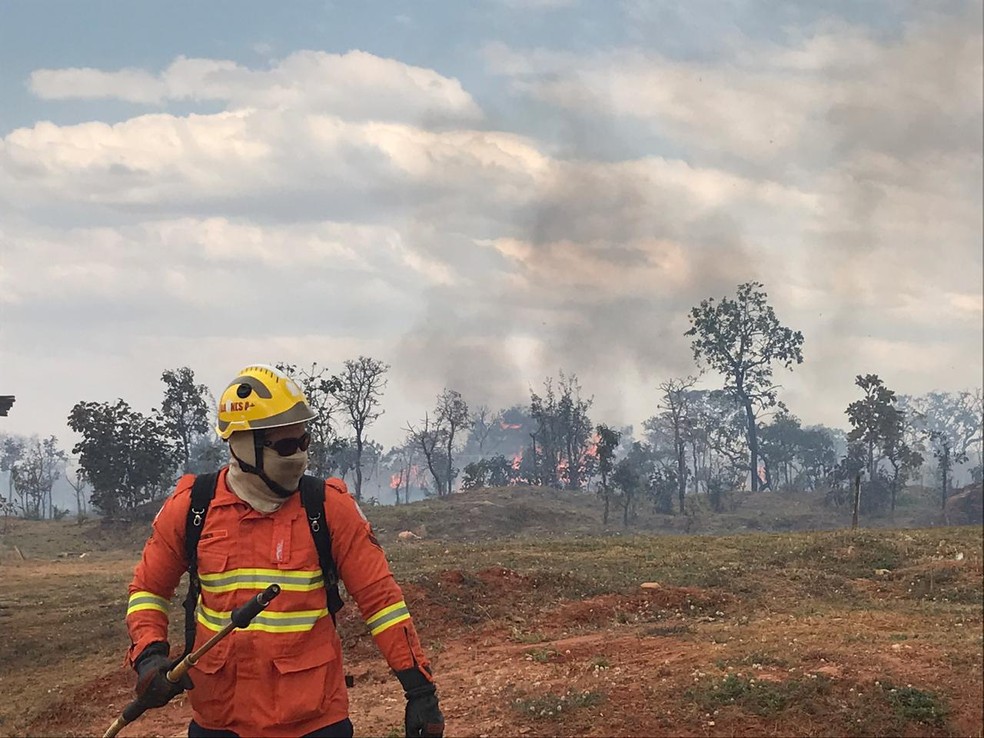 Bombeiro combate incÃªndio florestal no Parque Burle Marx, em BrasÃ­lia â Foto: Larissa Passos/ G1