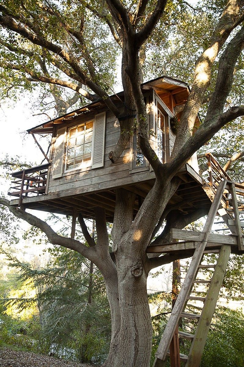 Casa na árvore: ideias para você transformar o sonho em realidade (Foto: reprodução)