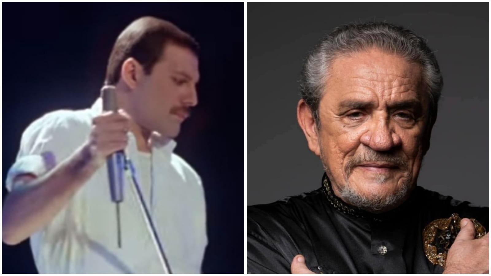 Cover do Queen, show do Zé Ramalho e mais; confira a agenda cultural no Vale do Paraíba 