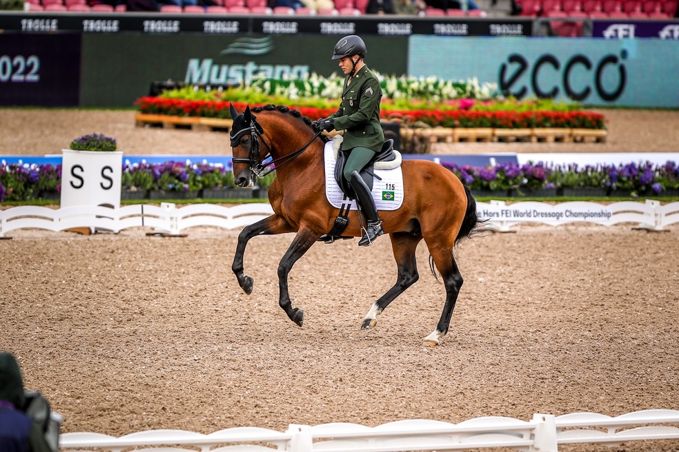 João Victor Oliva conquista vaga inédita para o Brasil no Mundial de Hipismo — Foto: Luis Ruas