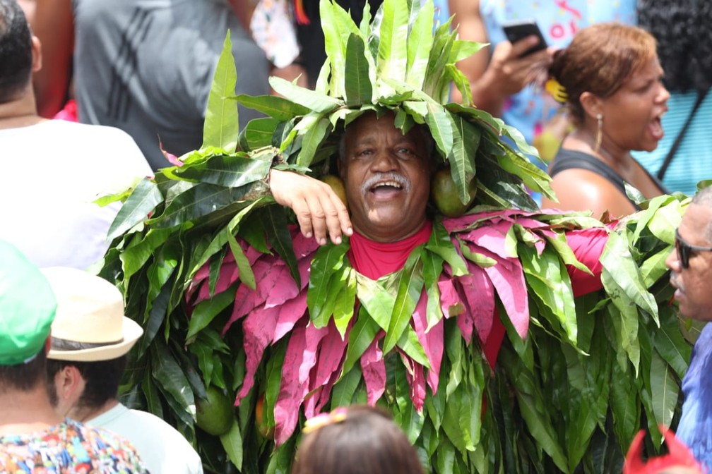 Nas tradicionais cores verde e rosa, homem se fantasia de 'mangueira' — Foto: Aldo Carneiro/Pernambuco Press