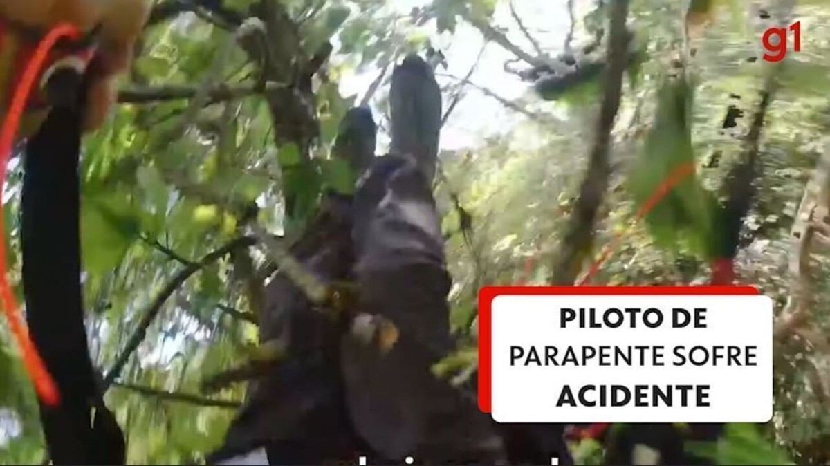 VÍDEO: Piloto de parapente colide com árvores e câmera registra acidente na França