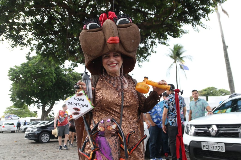Dona Baratinha participa do desfile do Galo da Madrugada, no Recife — Foto: Aldo Carneiro/Pernambuco Press