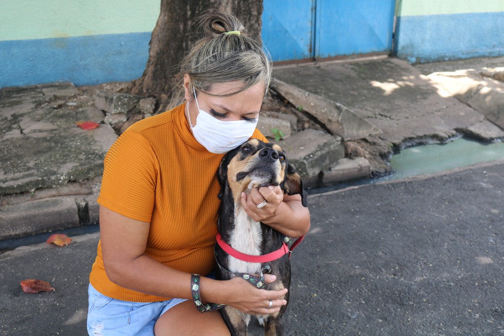 Cachorro que viralizou seguindo carro em Teresina recebe carinho de nova tutora  — Foto: Ilanna Serena/g1