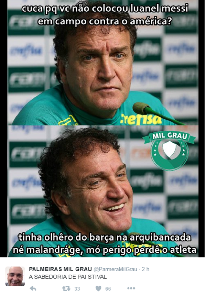 zoeira com palmeiras