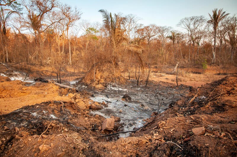 Mato Grosso, (BR). In 2020, large-scale fires consumed more than 20% of the Pantanal wetlands, in the midwest of Brazil. The recurrent lack of rainfall in the region, in addition to the total absence of environmental protection policies, started an unprec (Foto: © Leandro Cagiano / Greenpeace)