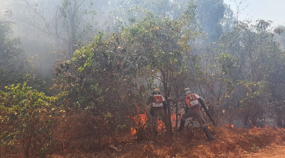 Corpo de Bombeiros tenta combater chamas há cerca de 10 dias em Chapada dos Guimarães (MT) — Foto: Lorena Segala/TVCA