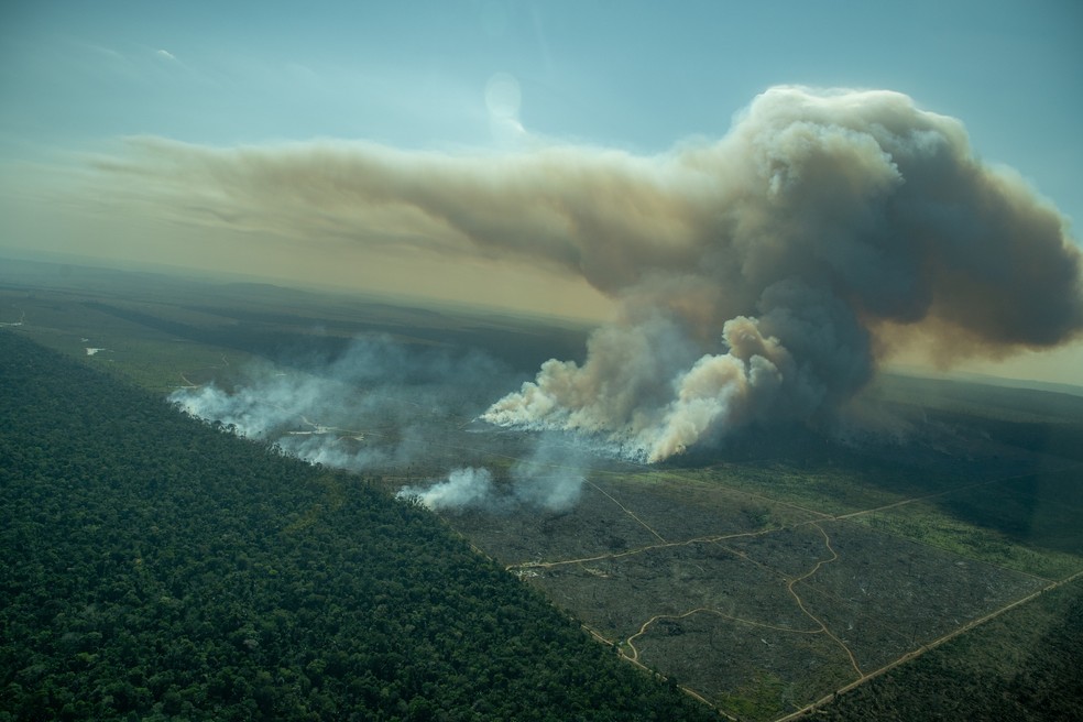 Greenpeace registra cortina de fumaça em floresta pública não destinada em Rondônia, em 29 de julho, mesmo com moratória do fogo. — Foto: Christian Braga/Greenpeace