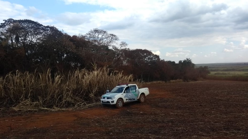 Incêndio em canavial atinge área de vegetação nativa em Santa Cruz das Palmeiras — Foto: PMA/Divulgação