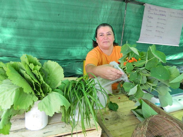 A agricultora Ana do Mel leva os produtos orgânicos colhidos pelo grupo para serem vendidos nas feiras (Foto: Gabriela Gasparin/G1)