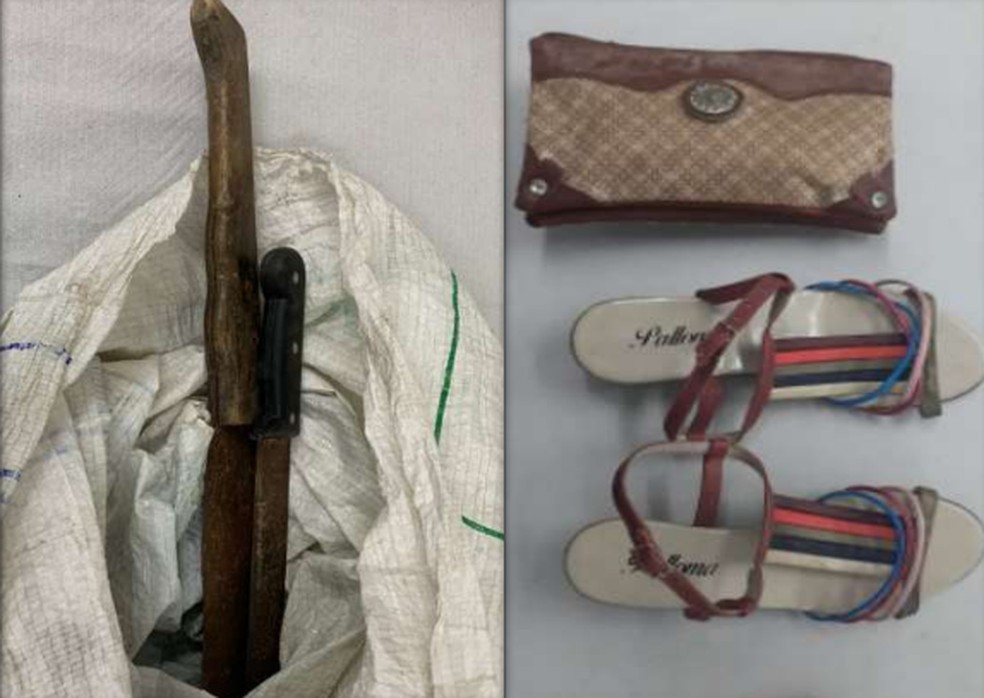 No momento da prisão foram apreendidos com o assassino dois facões e pertences da vítima — Foto: Reprodução/WhatsApp