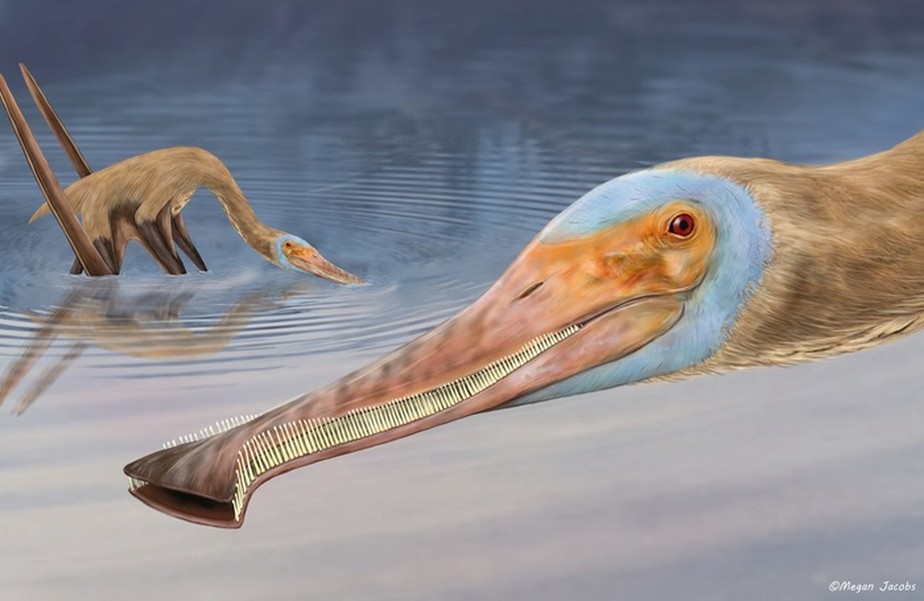 Representação artística do pterossauro Balaenognathus maeuseri