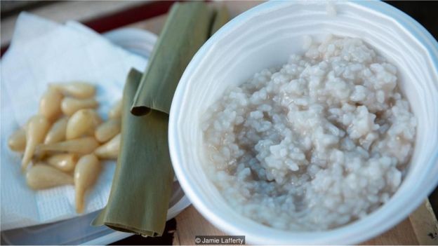 BBC - Após um processo de trabalho intensivo, as cicadáceas podem ser moídas em uma farinha comestível usada para fazer macarrão e arroz (Foto: Jamie Lafferty, via BBC)