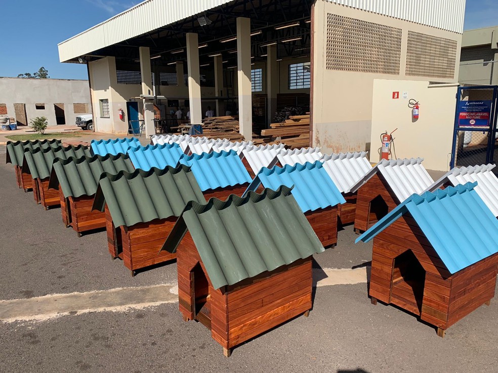 Abrigos para animais foram confeccionados com madeira ilegal apreendida na região de Prudente — Foto: Elisangela Lucca