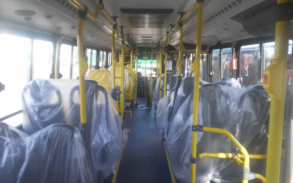 Novos ônibus chegam a Salvador para inclusão na frota que opera o transporte público na cidade — Foto: Divulgação/Semob