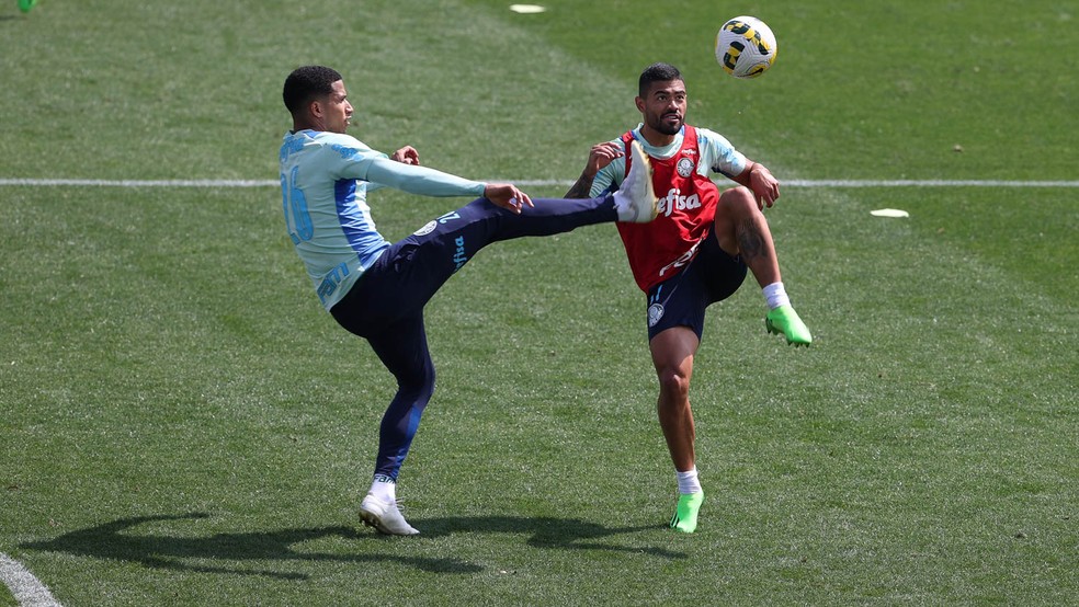 Palmeiras segue preparação para jogo contra o Fluminense; Veja como foi o treino de hoje (25)