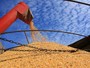 Na 1ª estimativa para 2017, IBGE prevê safra 13,9% superior a de 2016