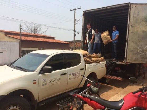 500 quilos de semente são apreendidas pela Adapec no Tocantins (Foto: Divulgação/Adapec)