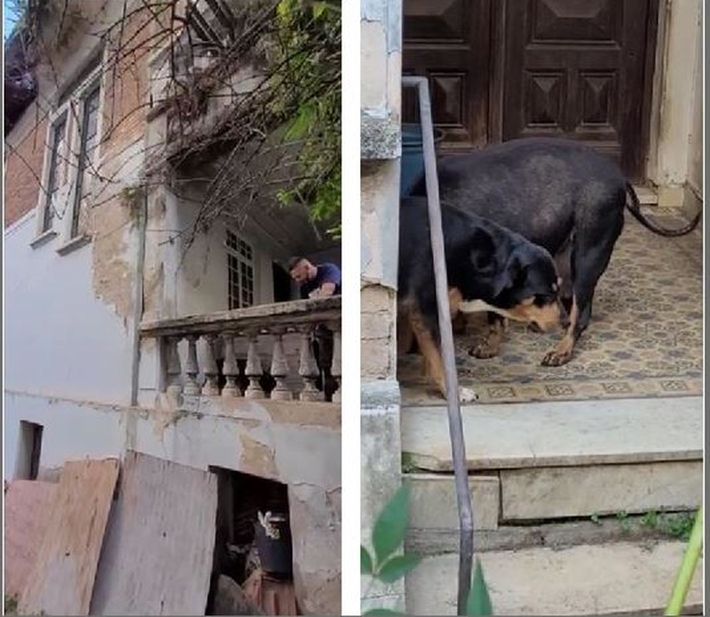 ONG entrou em casarão em Higienópolis, bairro de alto padrão do Centro de São Paulo, para resgatar dois cães com sinais de maus-tratos  — Foto: Reprodução/Divulgação
