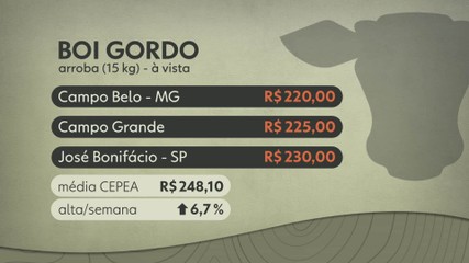Globo Rural - Mande suas dúvidas, fotos, vídeos ou sugestões para nossa  equipe:  #GloboRural