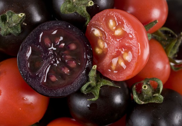 Image result for semi rotten tomato