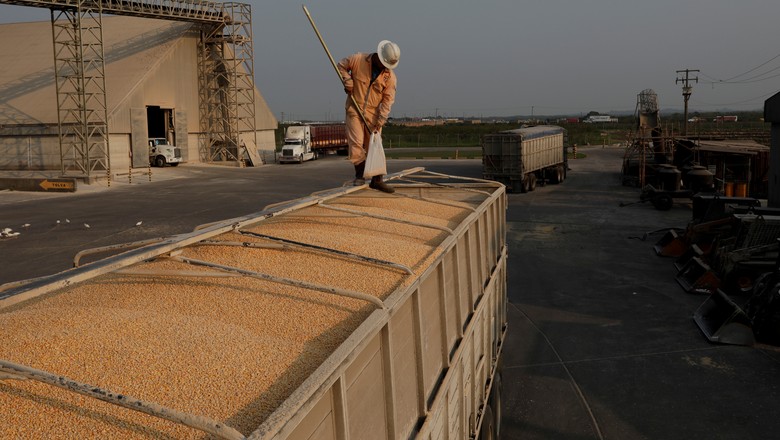 Mexicano pega amostra de milho importado do Brasil em Tuxpan (Foto: REUTERS/Henry Romero)
