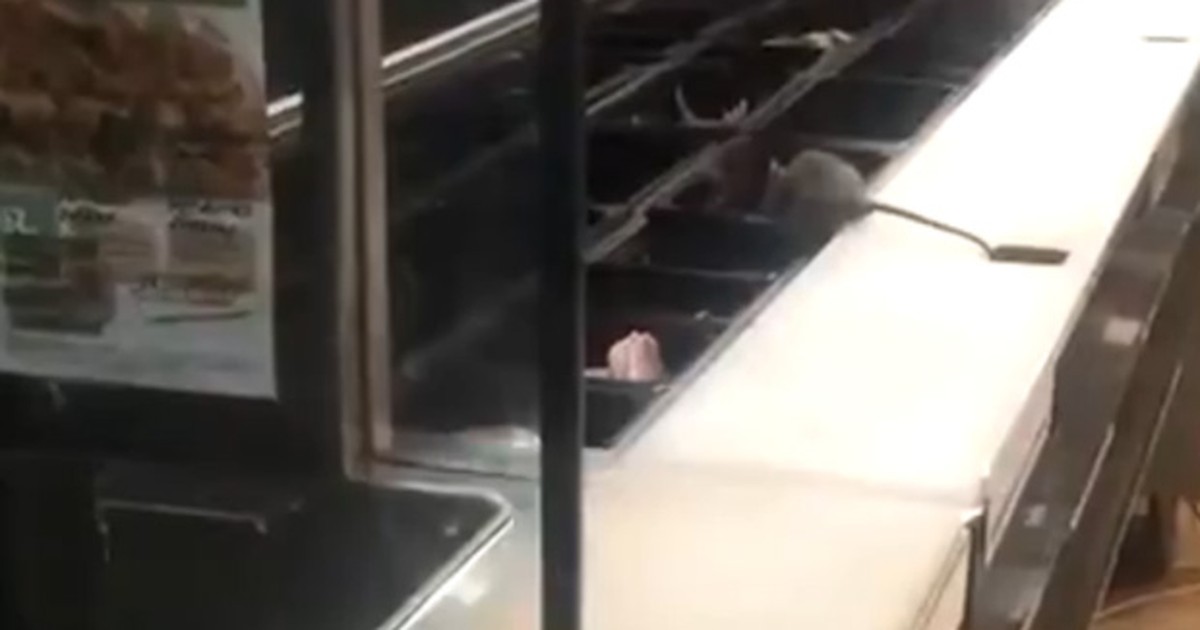 Nos EUA, um sanduíche do Subway veio com rato de brinde